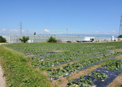 Projet de développement régional Seeland